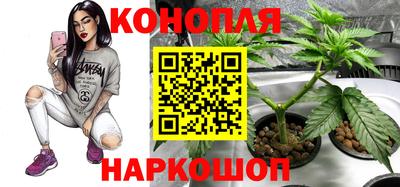 дистиллят марихуана Камышлов
