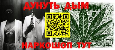 стафф Кингисепп