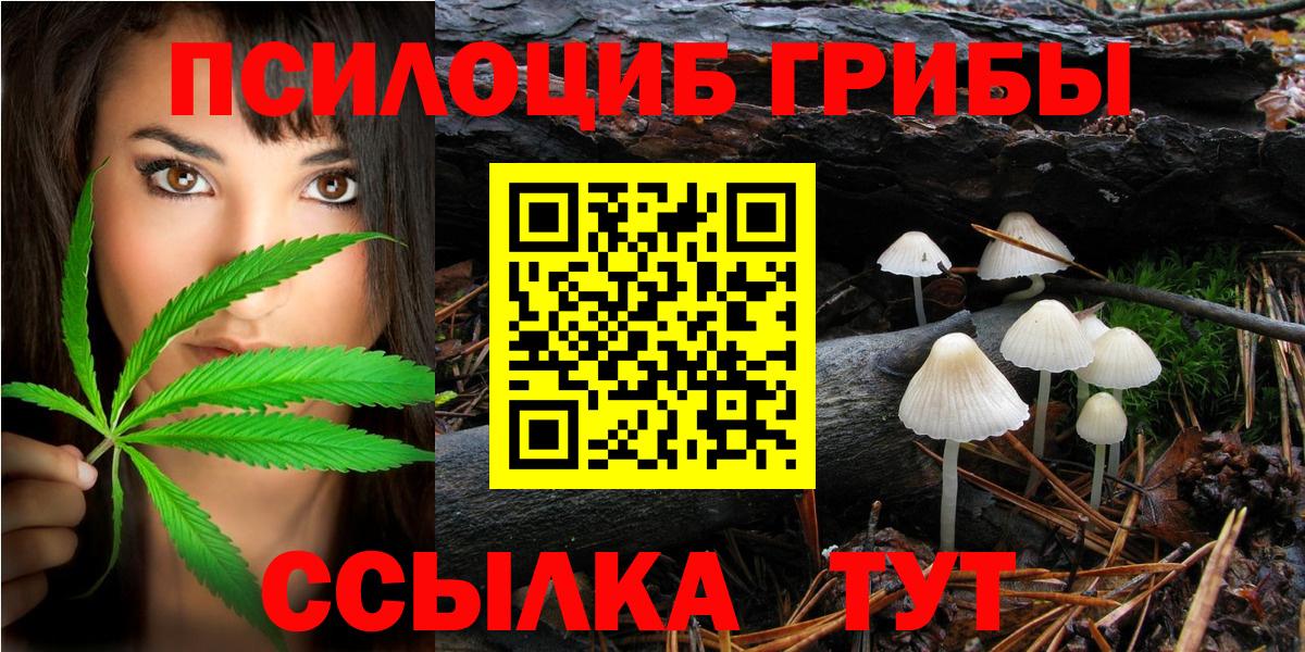 Псилоцибиновые грибы Magic Shrooms Кудымкар